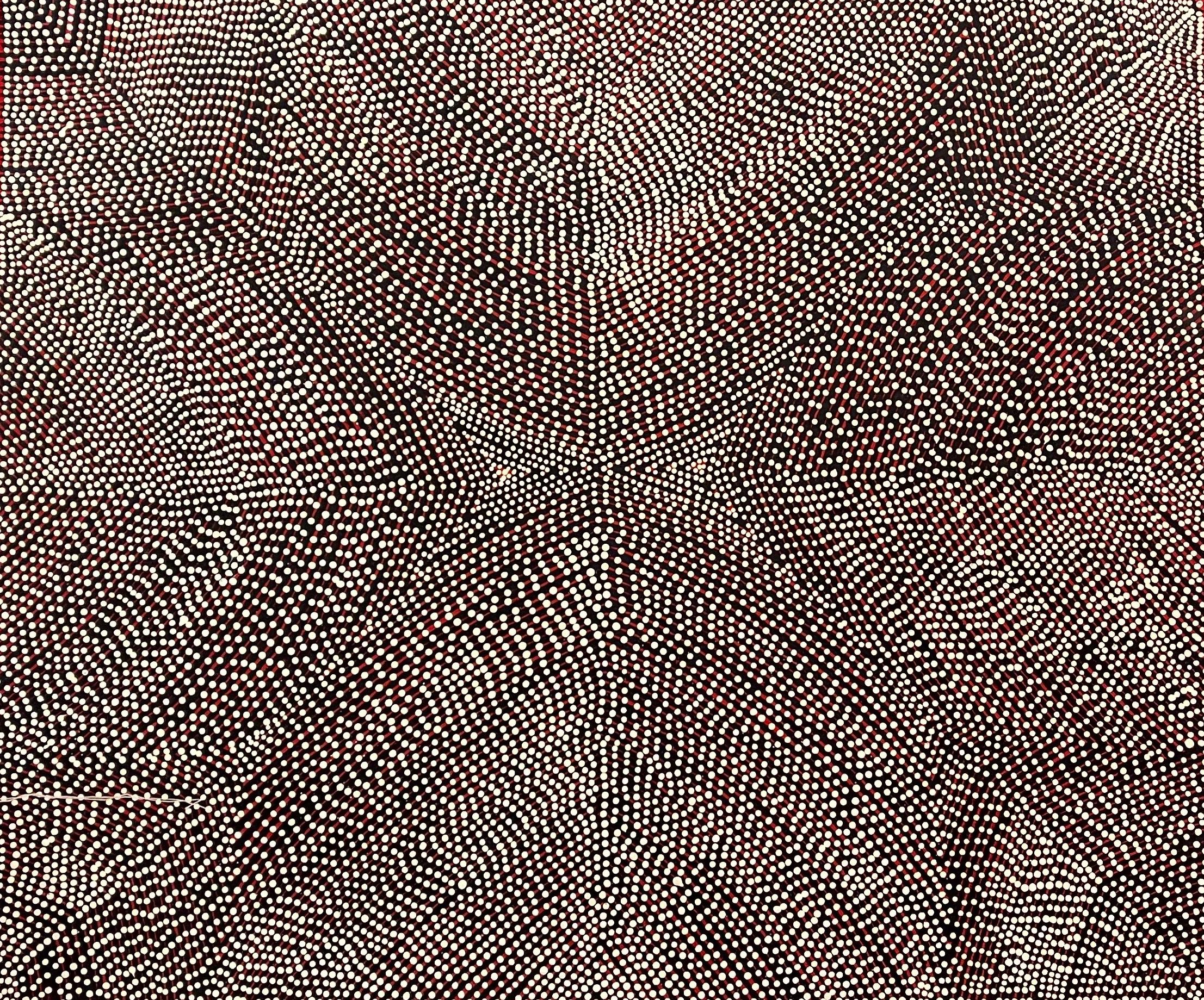 "Kapi Tjukurrpa- Kalipinypa" Peinture aborigène de Maureen Poulson Napangardi