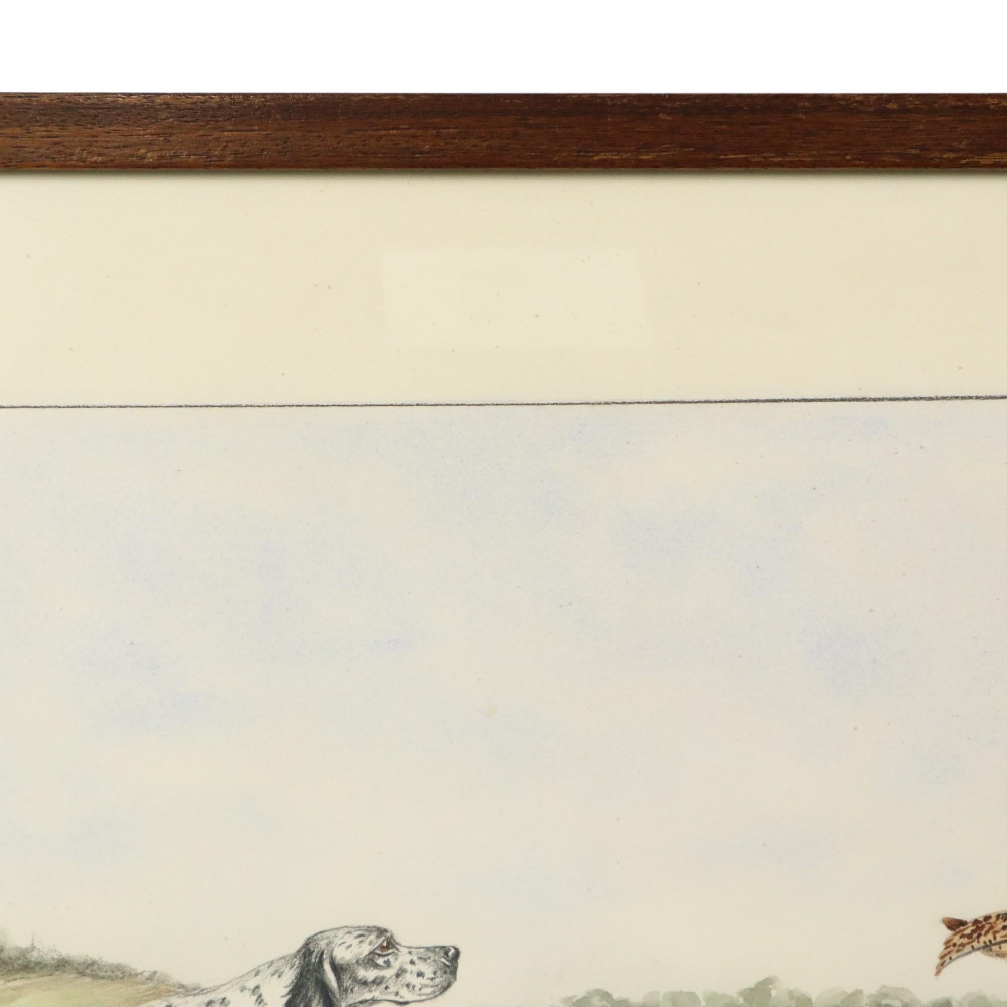 Maurice Brailly Cane Spaniel Francese Uccelli Grafica d'epoca 1972 in vendita 9