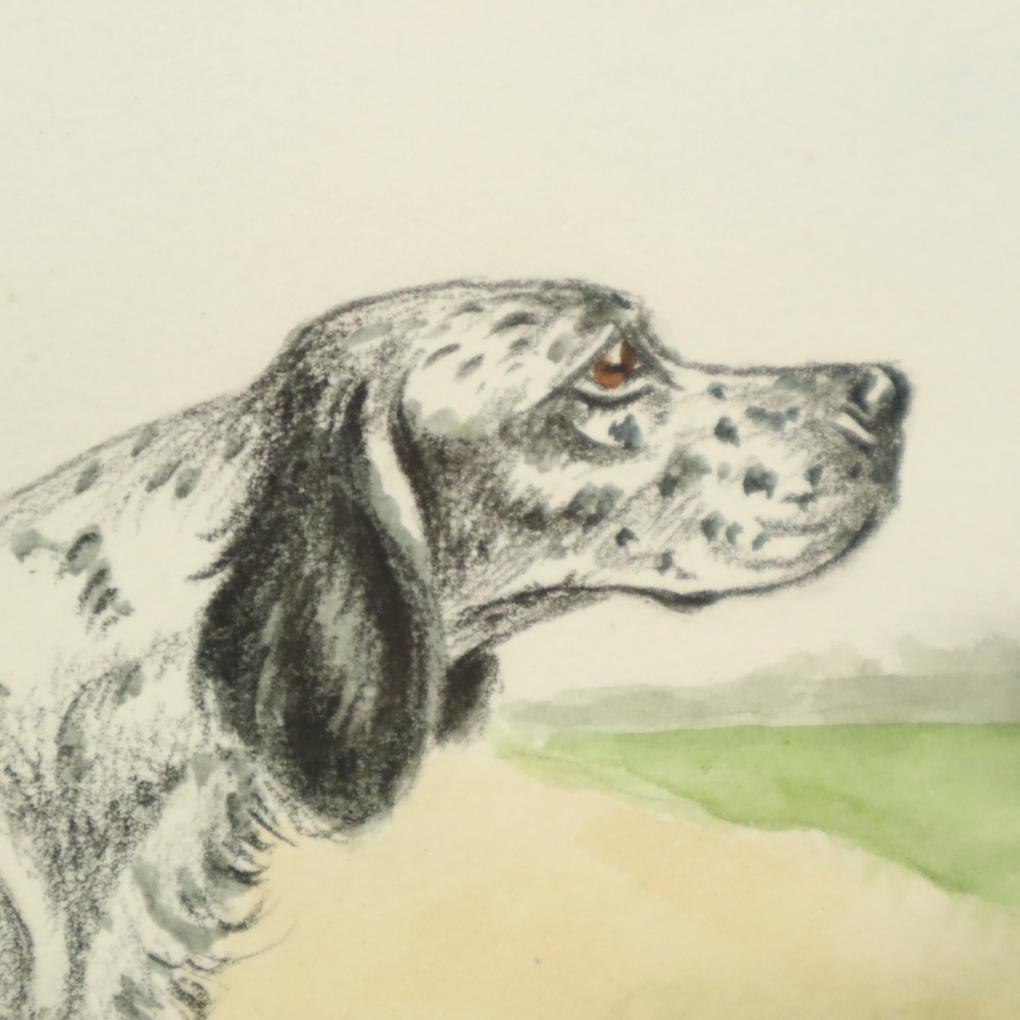 Maurice Brailly Cane Spaniel Francese Uccelli Grafica d'epoca 1972 in vendita 4