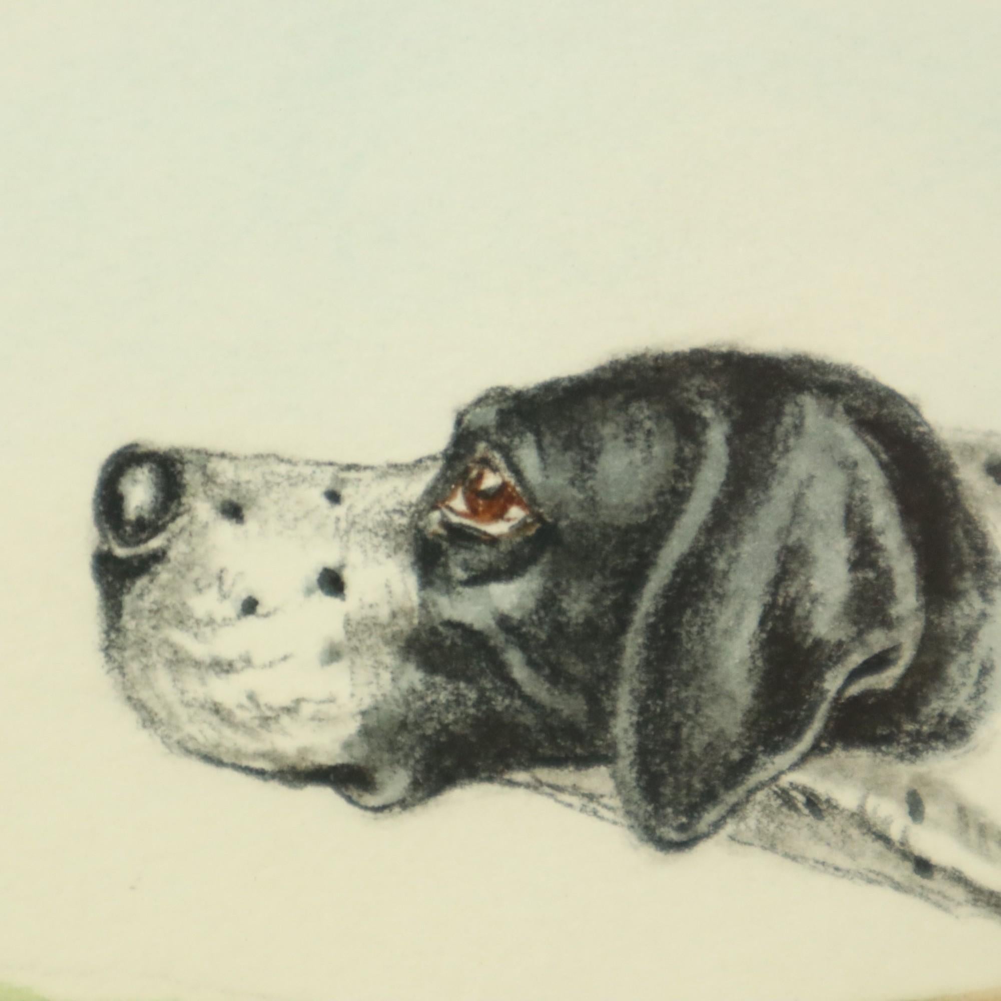 Maurice Brailly Hunting Dog Birds Vintage Graphics in Color 1972 For Sale 5