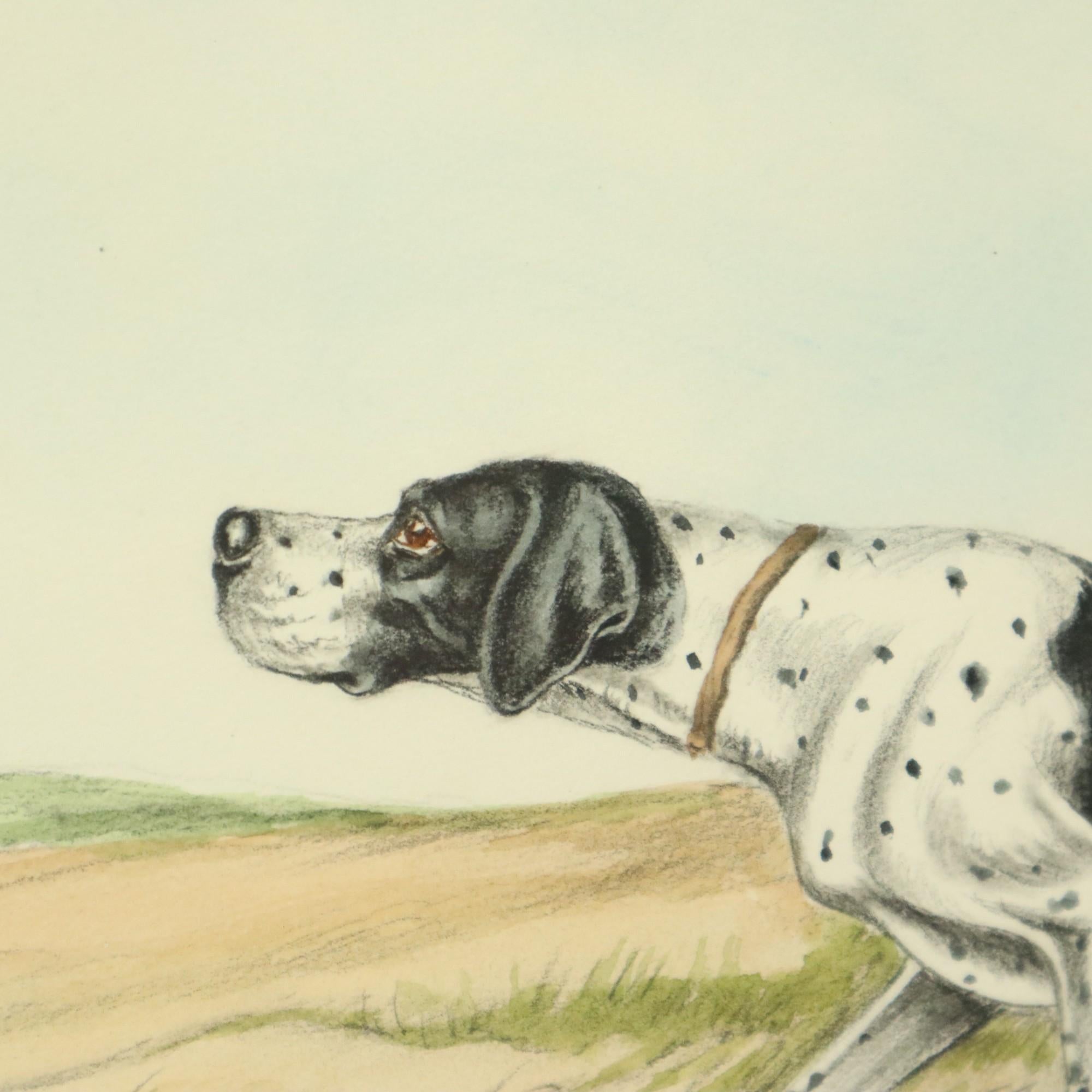 Late 20th Century Maurice Brailly Hunting Dog Birds Vintage Graphics in Color 1972 For Sale