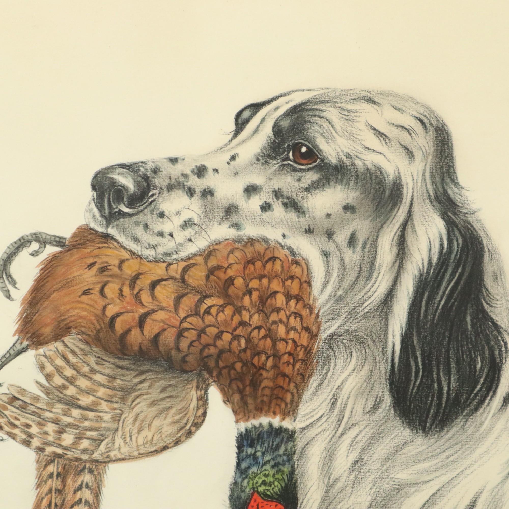 Maurice Brailly Jagdhund Fasan Vintage Grafik in Farbe 1972 im Zustand „Gut“ im Angebot in Poperinge, BE