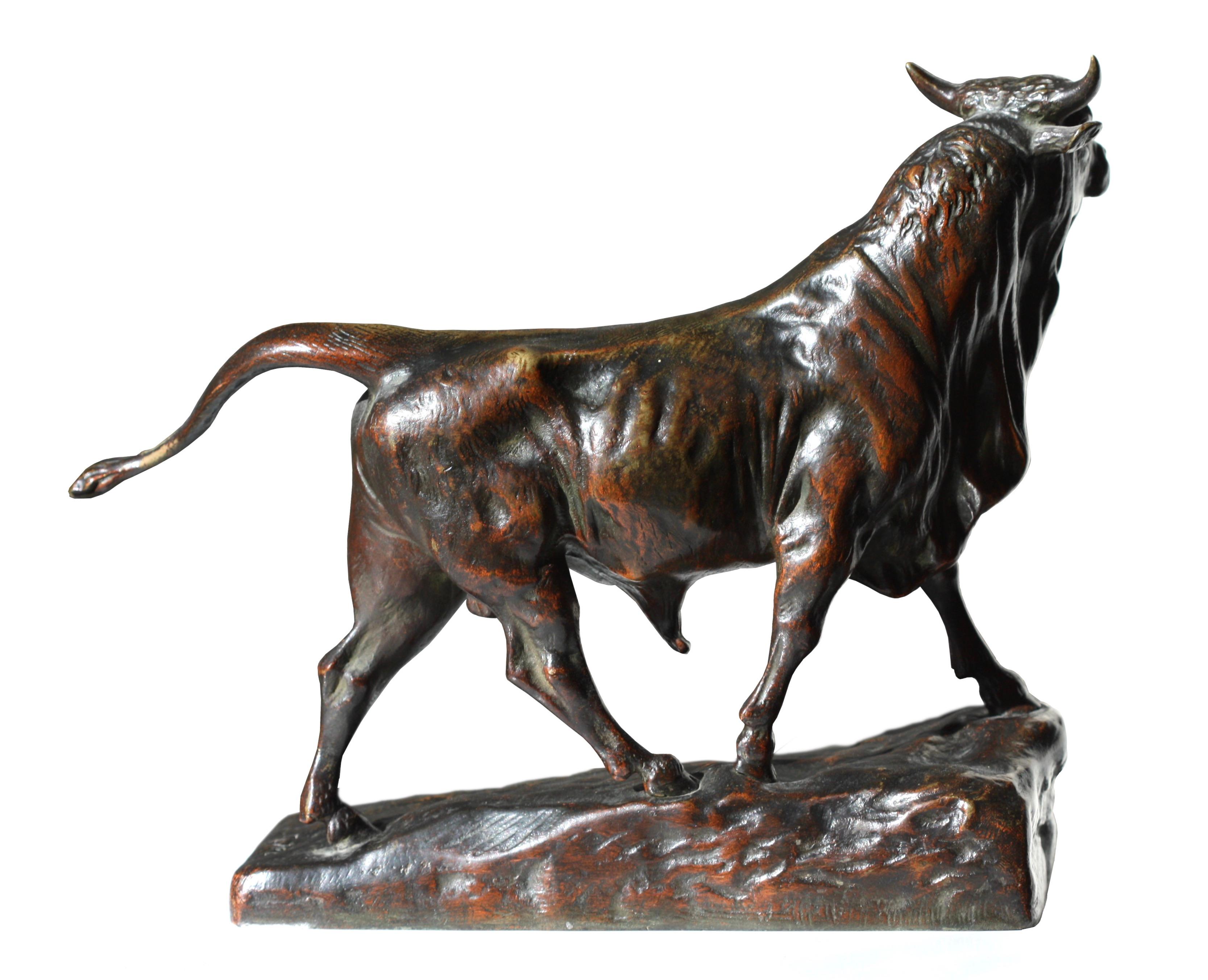 Maurice Favre (1875-1915)
A French bronze bull
The lean body revealing the rib cage, with multiple folds of skin at the neck, chocolate-brown patina.
Measures: Height 8 in. (20.32 cm.), length 8 in. (20.32 cm.), depth 2.5 in. (6.35