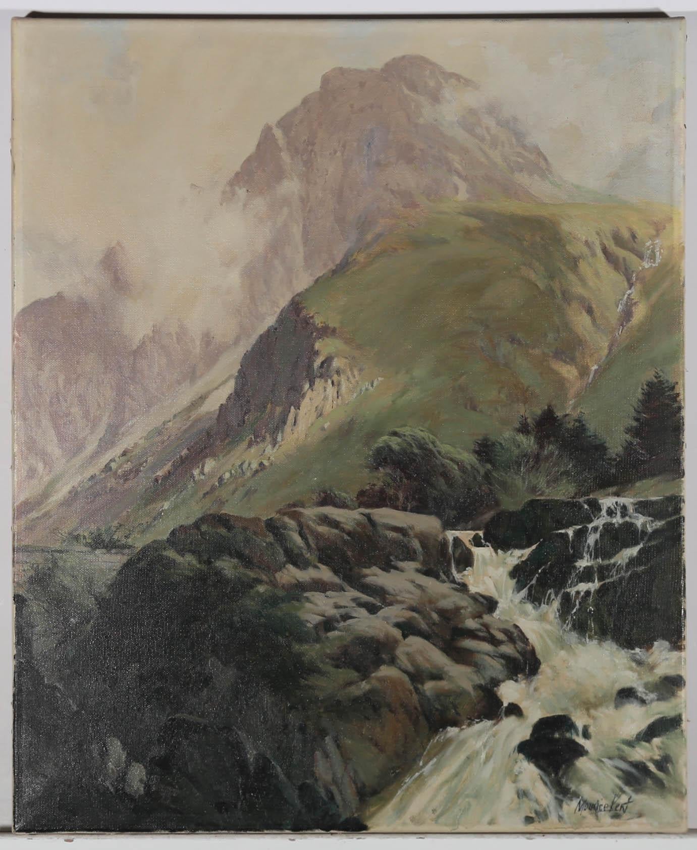 A wonderful oil deception of the idyllic Swallow Falls in the hills of North Wales. The artist has signed to the lower right corner and the location has been inscribed at the reverse. On canvas.