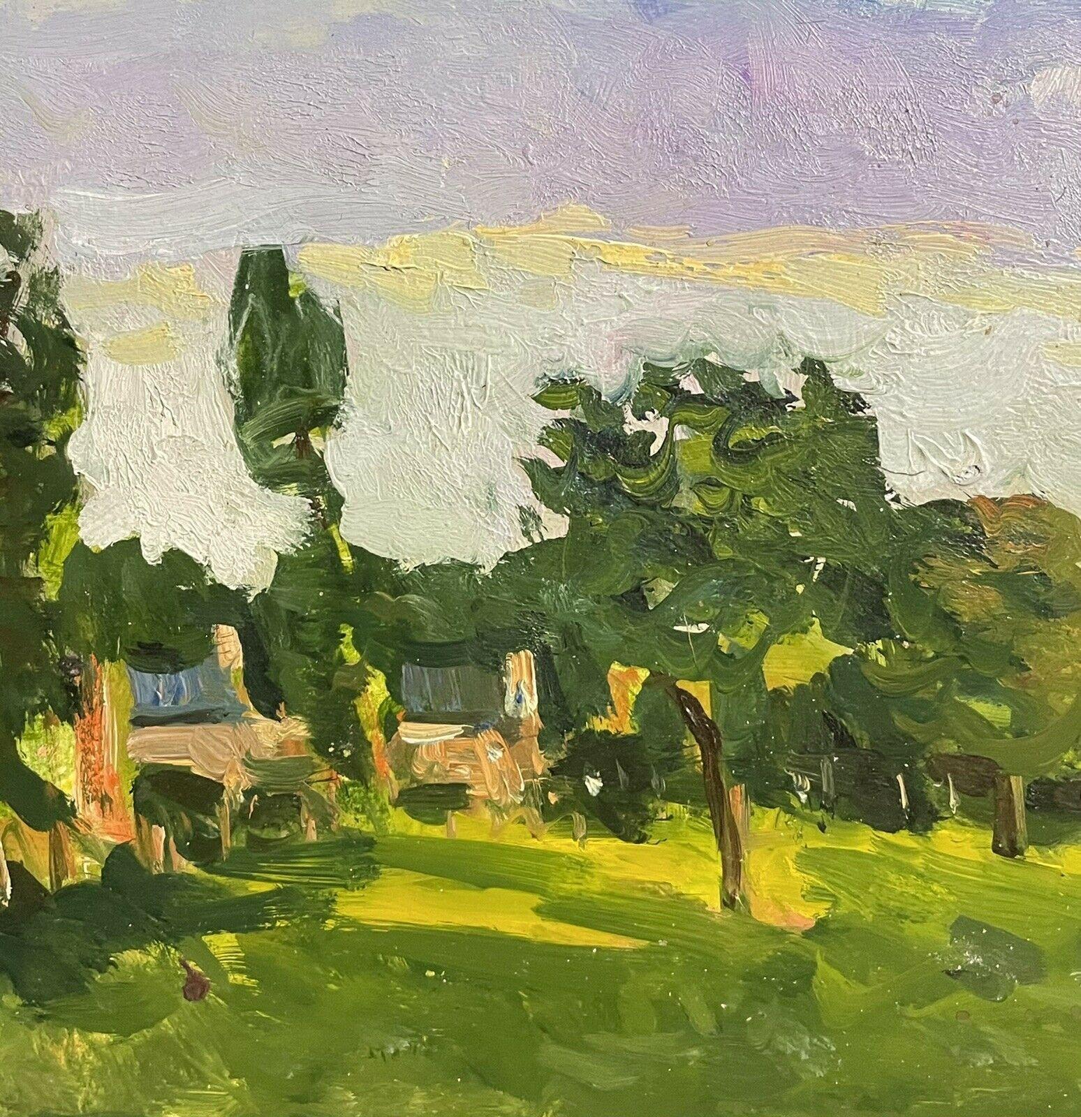 Maurice Mazeilie, French Impressionist Oil, Hazy Summer Green Meadow Pastures In Good Condition For Sale In Cirencester, GB