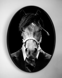 Mythology Collection Horse 593 - Fine Art Printing