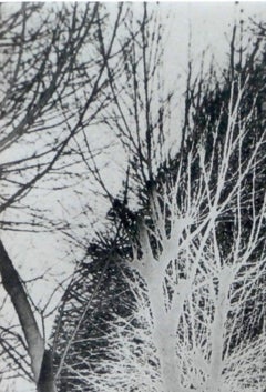 Untitled 'Solarized Double Exposure', Framed Solarized Vintage Print
