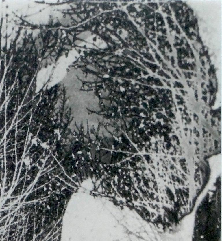 maurice tabard untitled solarized face