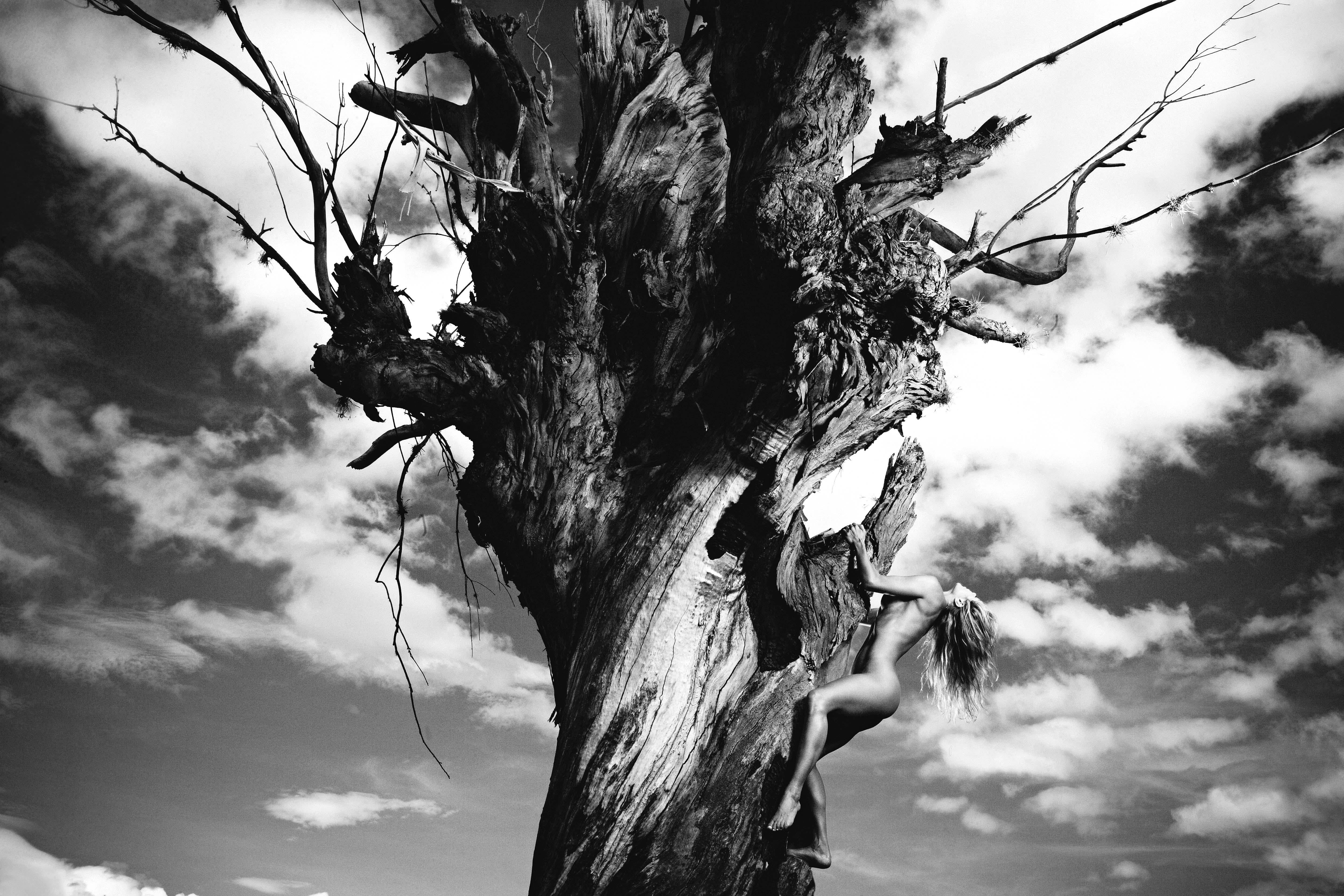 Half Angels, Halb-Demons #12, Akt auf einem Baum. Schwarz-Weiß-Fotografie von