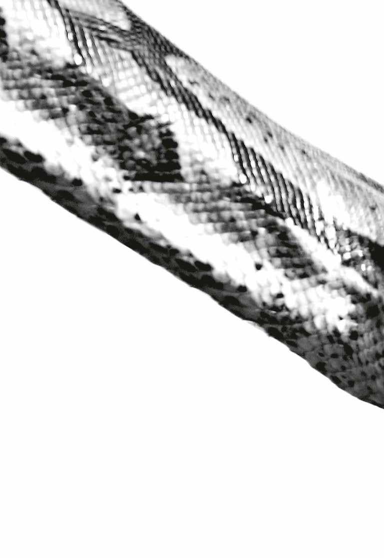 Halb Angeles, halb Dämonen - Snake #46, 1997 von Mauricio Velez
Farbfotografie
Archivalischer Pigmentdruck
Bildgröße: 60 Zoll. H x 40 in. W
Auflage von 9 + 2AP

