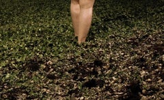 Untitled From the  'Beaty and Fantasy" series, Nude. limited edition color photo
