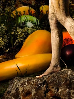 Untitled From the "Beaty and Fantasy' series, Nude. Color limited edition photo