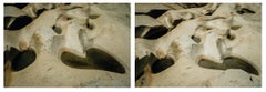 Sans titre V et Sans titre VI. Des photographies de paysages abstraits en couleur des roches