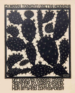 Cactus - Woodcut by Maurits Cornelis Escher - 1931