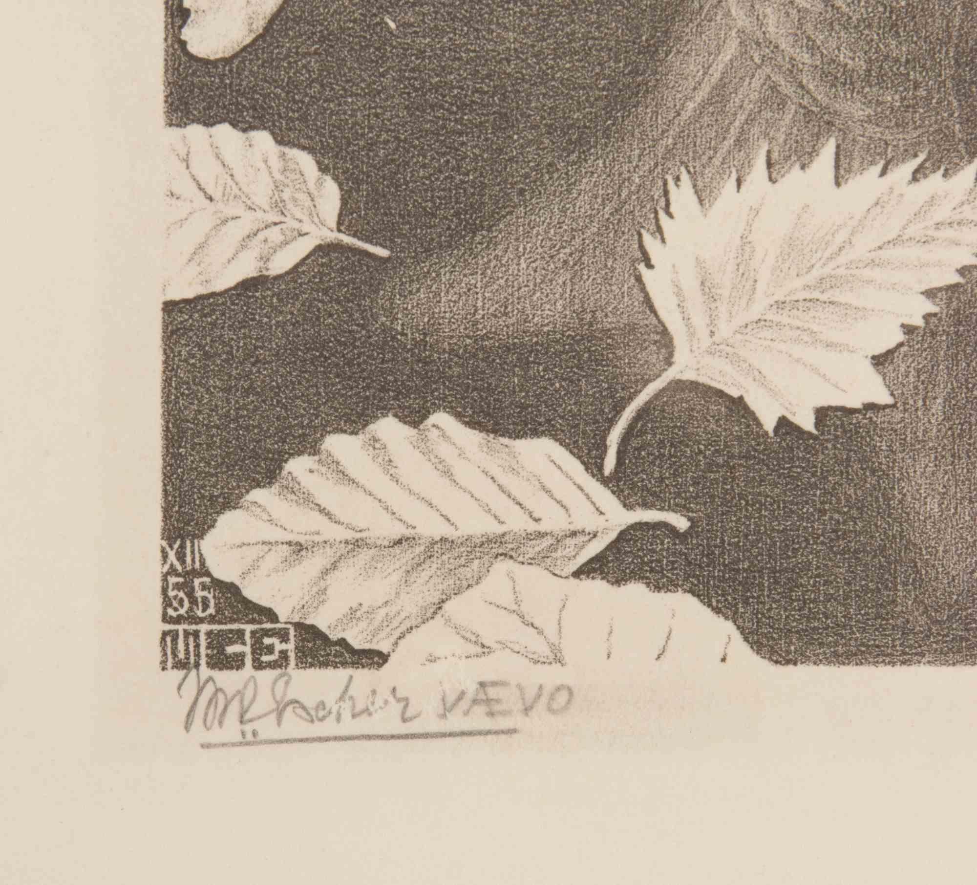 Trois mondes - Lithographie de Maurits Cornelis Escher - 1955 en vente 2