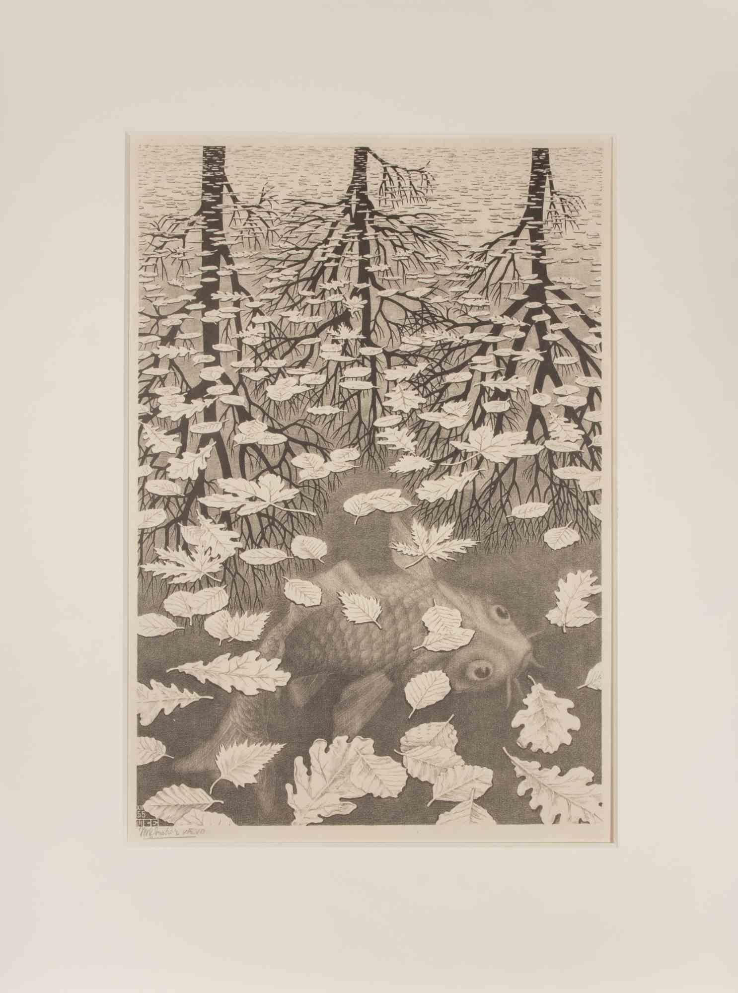 Tres mundos - Litografía de Maurits Cornelis Escher - 1955