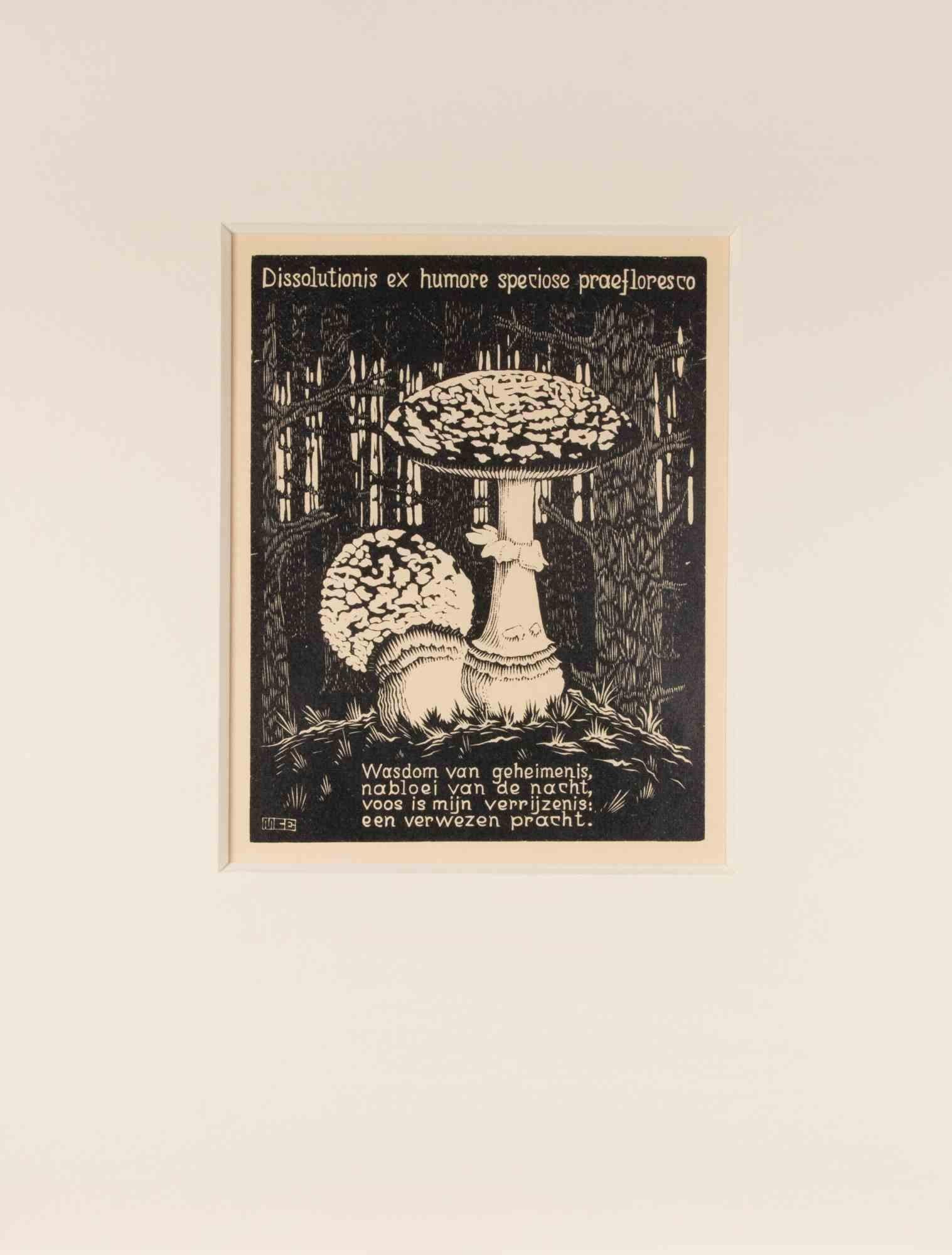 Toadstool - Woodcut by Maurits Cornelis Escher - 1931 For Sale 1