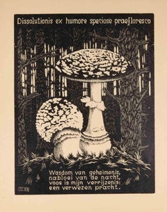 Sapo - xilografía de Maurits Cornelis Escher - 1931