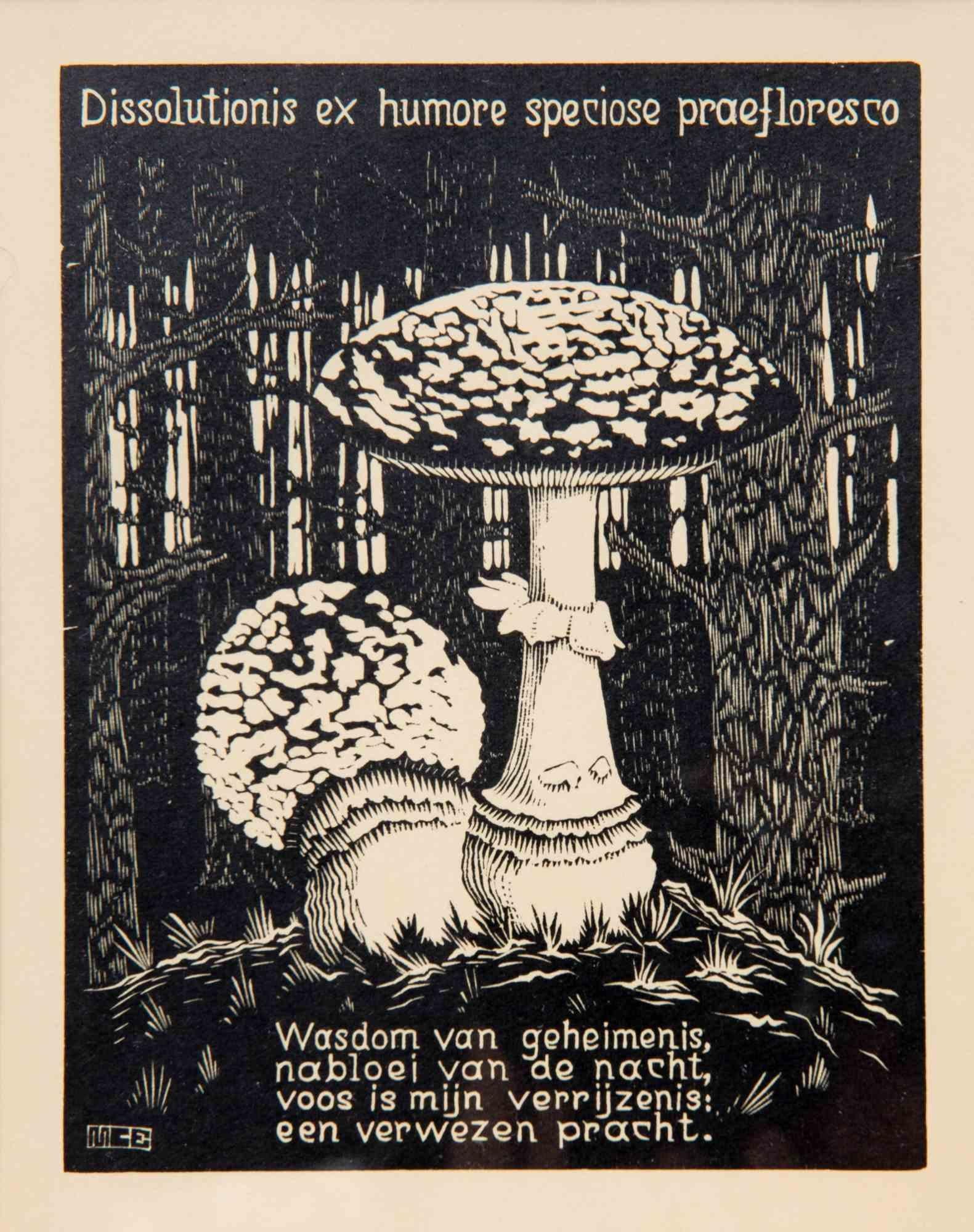 Woodcut print realized by Escher in 1931.

It belongs to the series "Emblemata".

Monogrammed in the plate lower left.

Excellent condition.

Ref. F.H. Bool, J.R. Kist, J.L. Locher and F. Wierda, ‘M.C. Escher: His life and complete graphic work’,