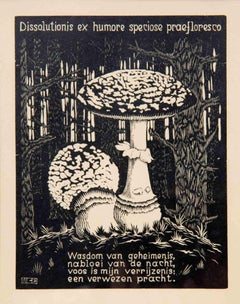 Toadstool - Woodcut by Maurits Cornelis Escher - 1931