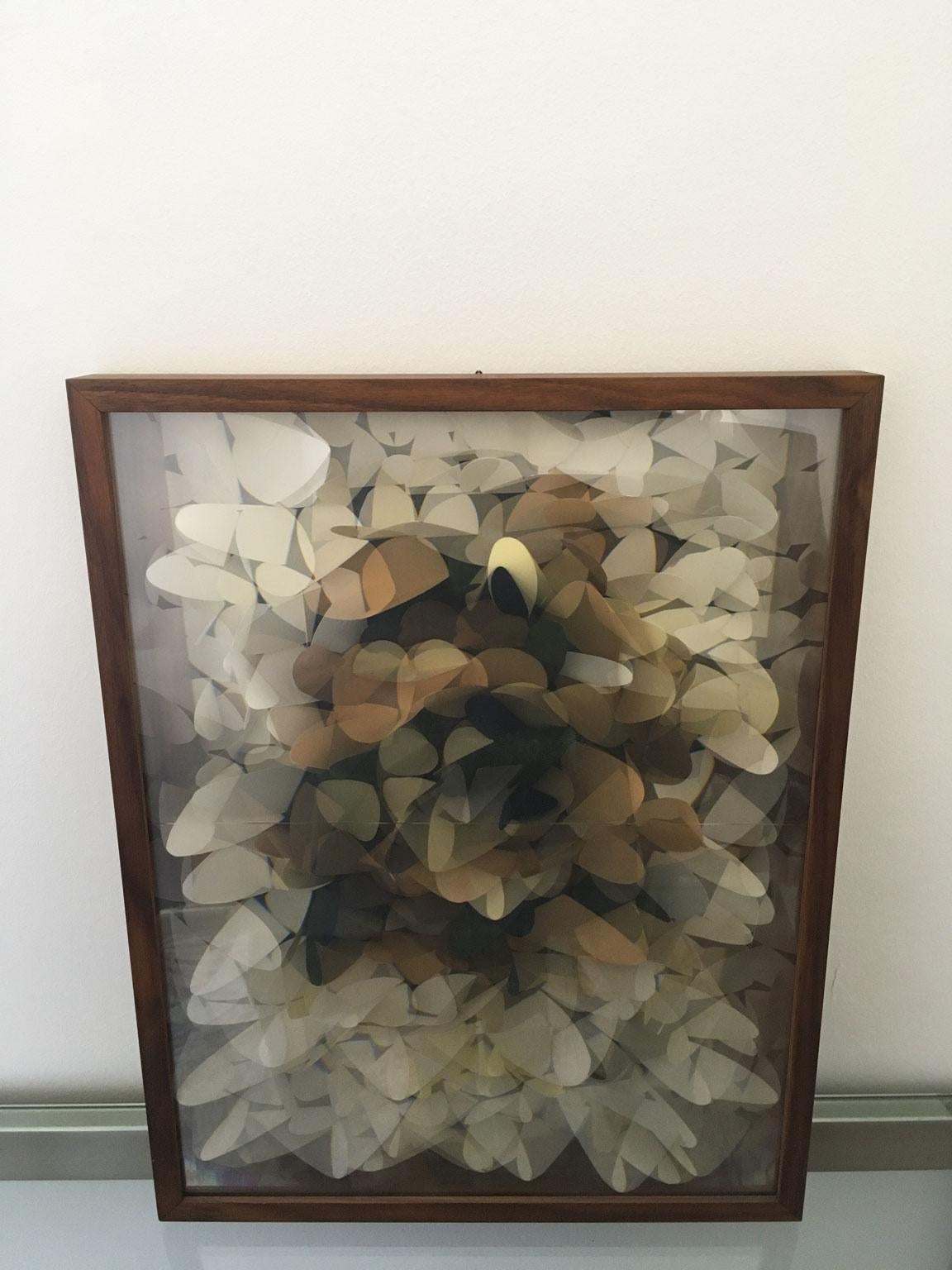 Cette œuvre étonnante est un assemblage de fleurs en papier, placées dans une boîte en bois encadrée puis montée sous une lentille lenticulaire. Titre Miroir 2012.
La particularité de Maurizio Donzelli 
