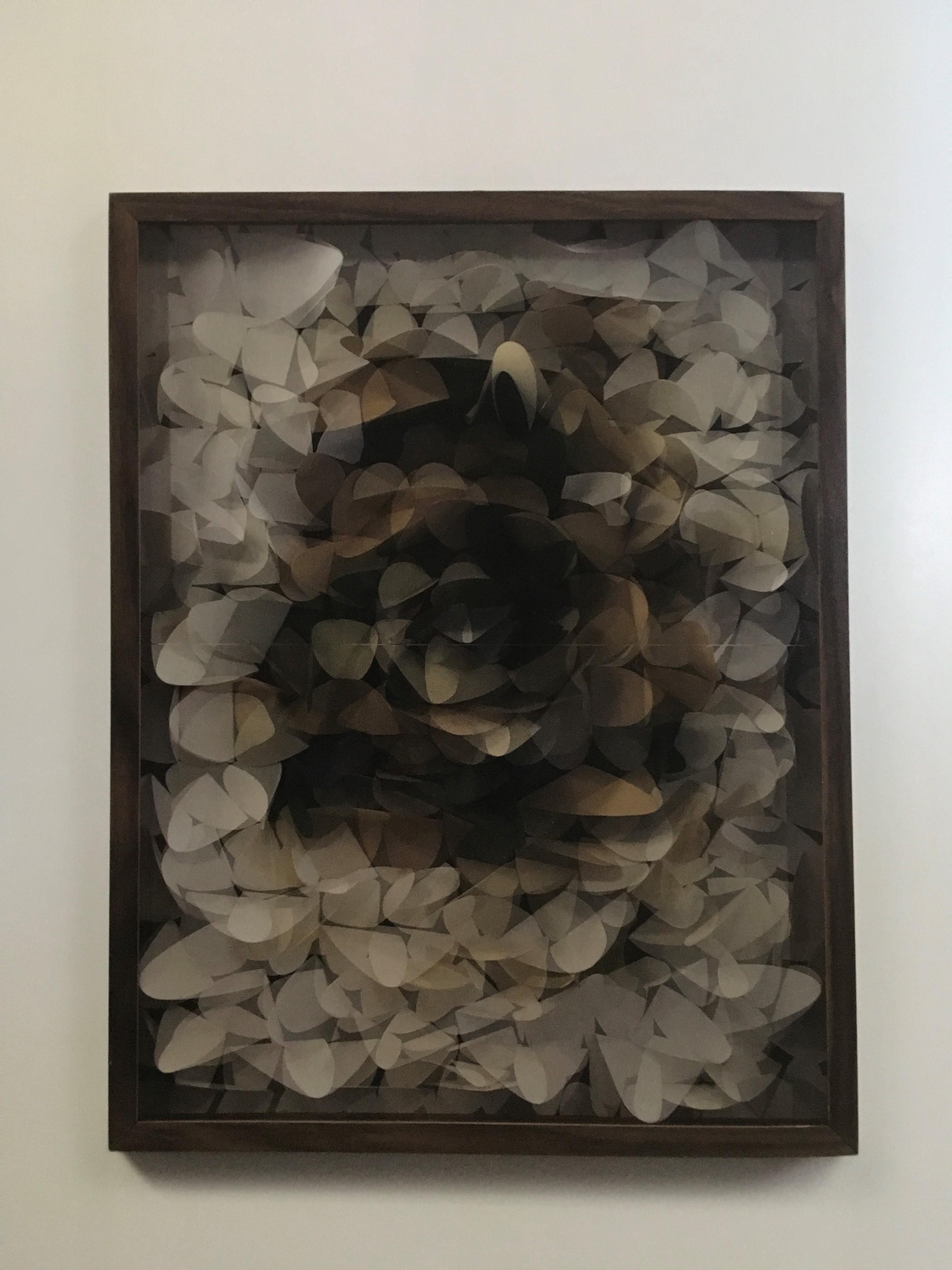 Italy Mixed Media Abstract Paper Flower Assemblage Under Lenticular Lens - Painting by Maurizio Donzelli