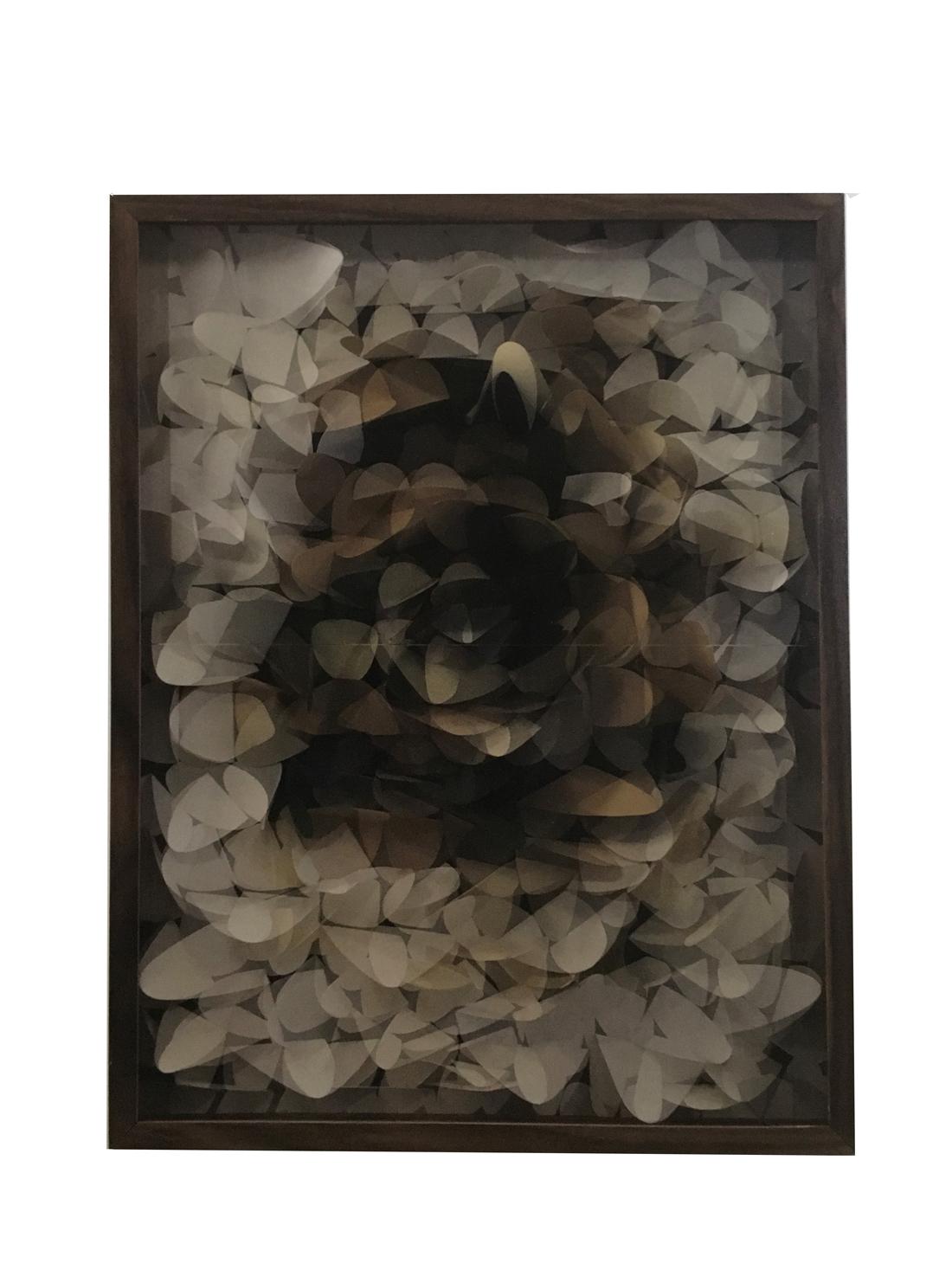 Maurizio Donzelli Abstract Painting - Italy Mixed Media Abstract Paper Flower Assemblage Under Lenticular Lens