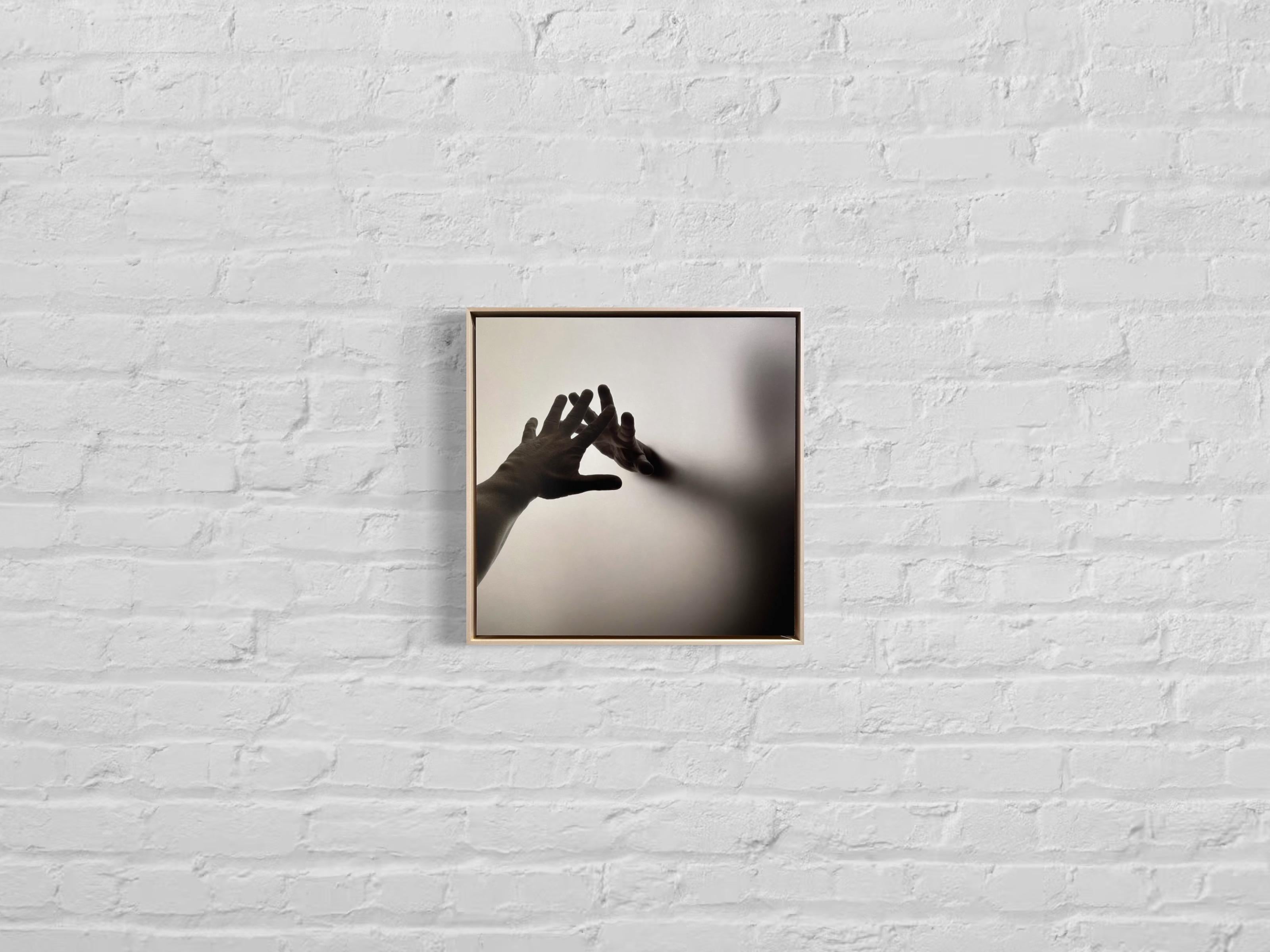 Hand Photography