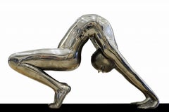 La gatta assise