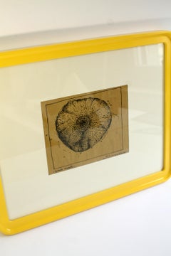 Mauro FABIANI (1940-1999)  Original ink on paper (58x45cm)  "Large sunflower"