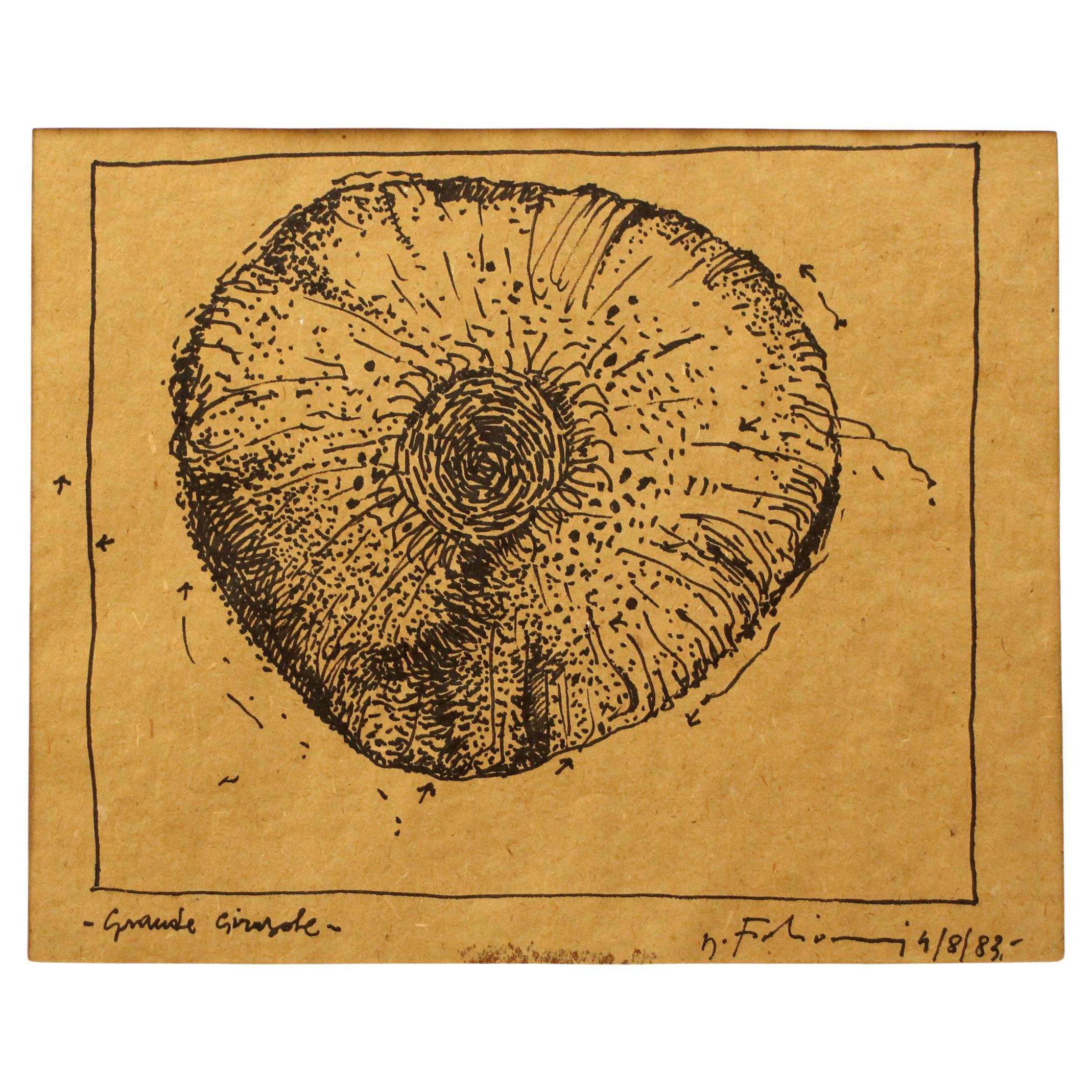 Mauro FABIANI (1940-1999)  Original Tinte auf Papier (58x45cm)  "Große Sonnenblume" im Angebot
