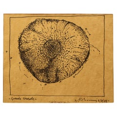 Vintage Mauro FABIANI (1940-1999) | Original ink on paper (58x45cm) | "Large sunflower"