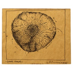 Mauro FABIANI (1940-1999)  Original ink on paper (58x45cm)  "Large sunflower"