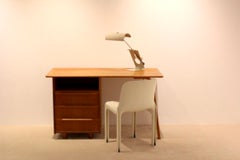 Mauro Martini Picchio 'Woodpecker' Desk Light