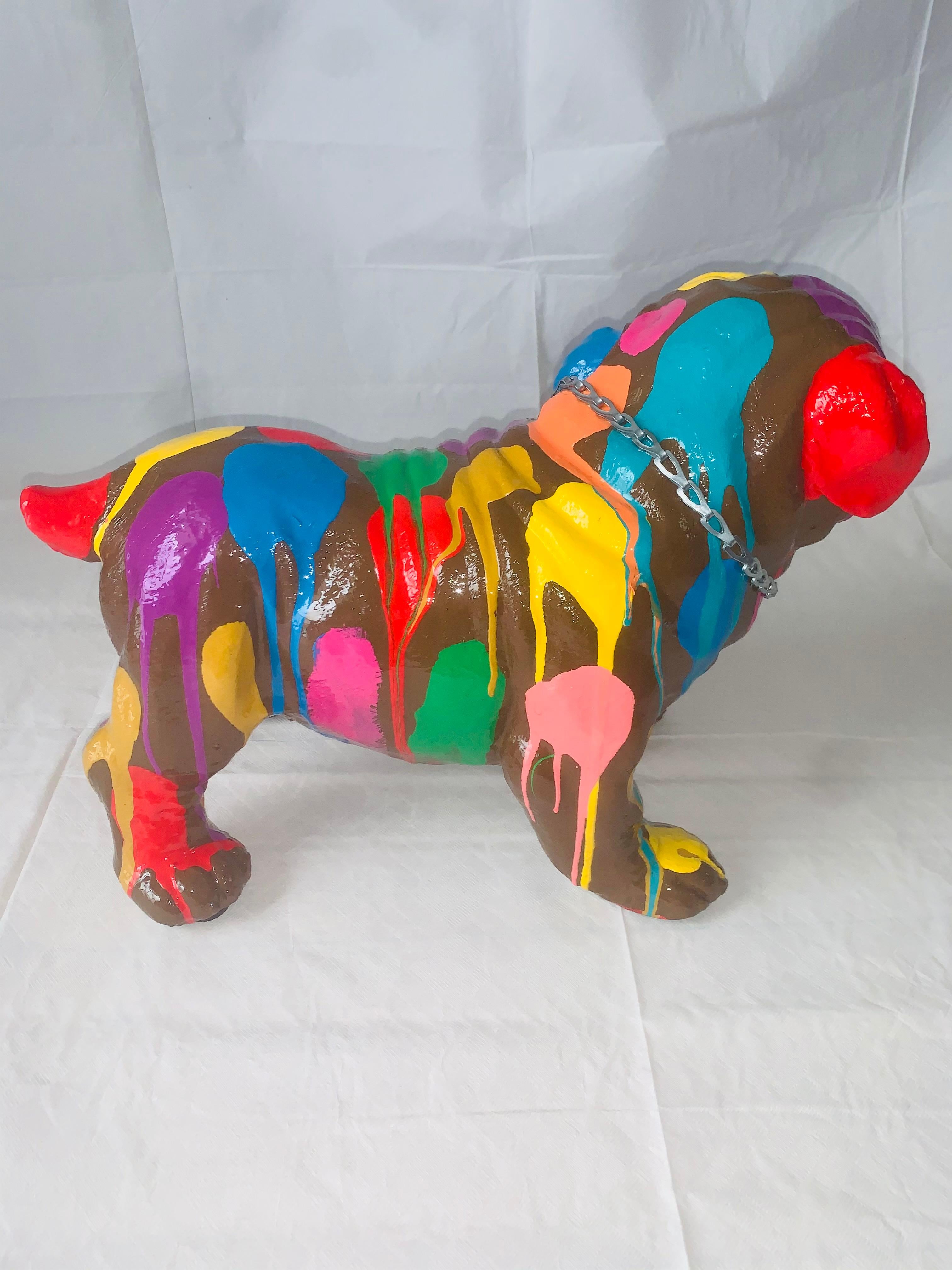 english bulldog multicolor
