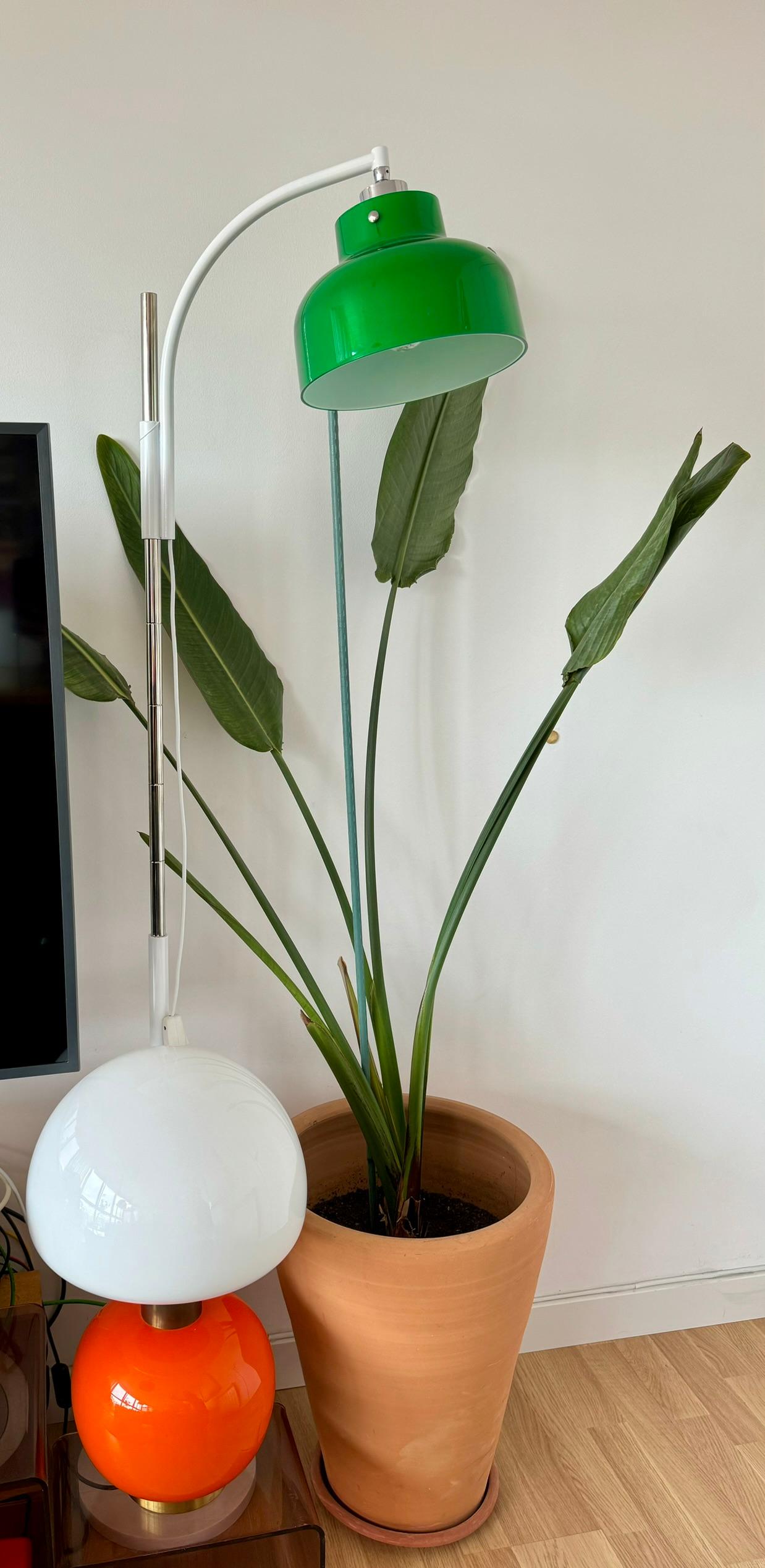 Max Bill floor lamp by Miguel Milà for Tramo, 1964 