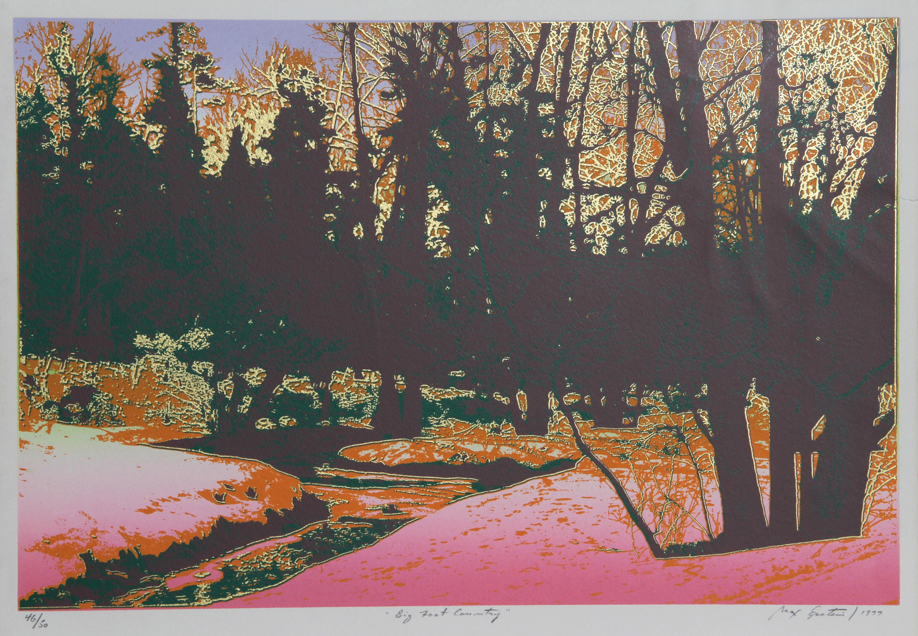 Big Foot Country, Psychedelic Screenprint by Max Epstein