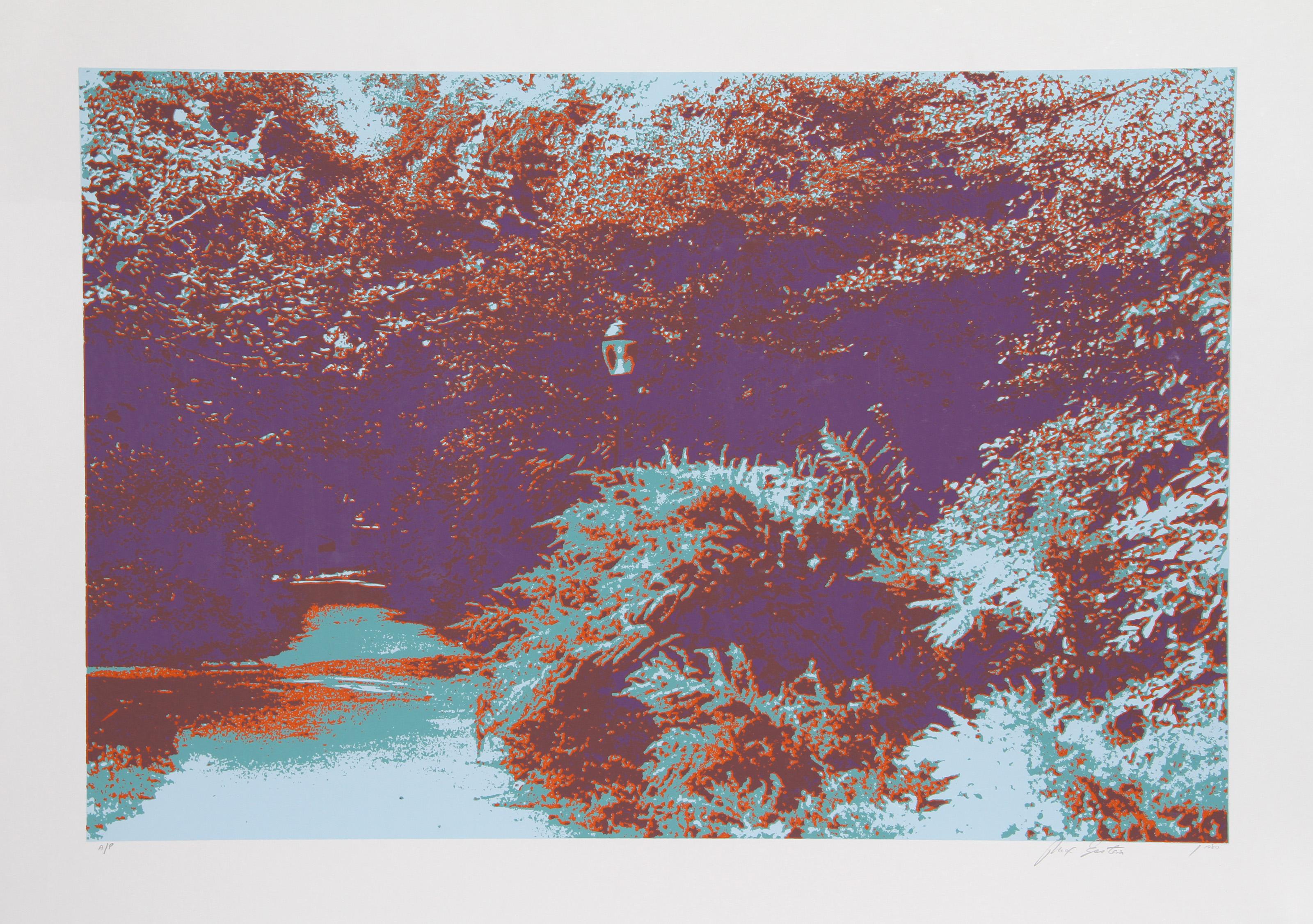 Days Gone By, Psychedelic Screenprint by Max Epstein