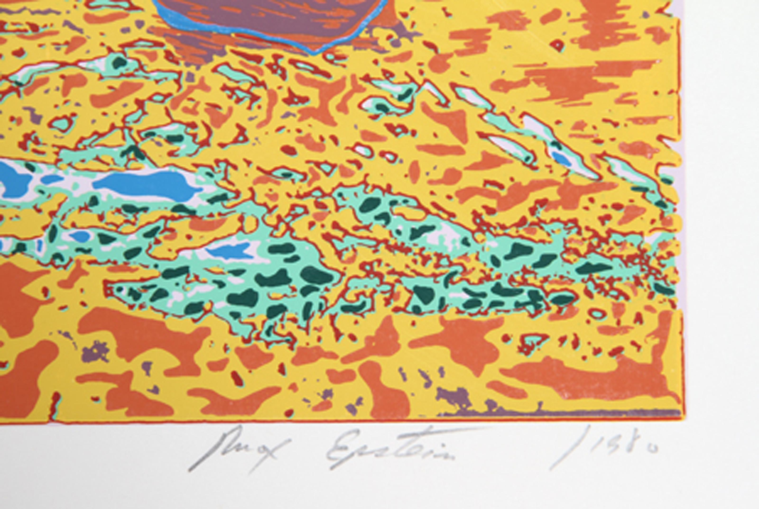 Ducks in a Pond, Psychedelic Screenprint by Max Epstein For Sale 1