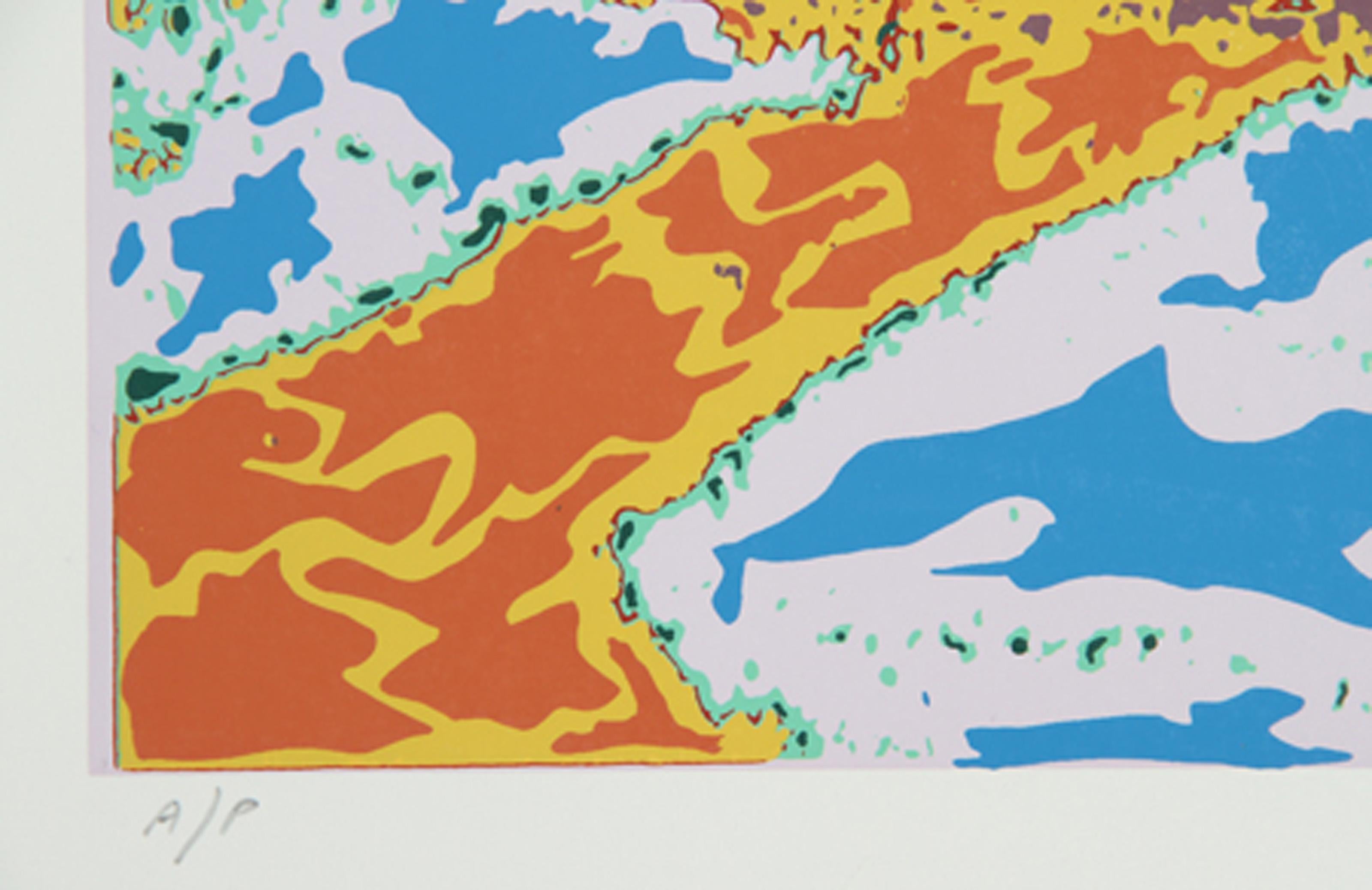 Ducks in a Pond, Psychedelic Screenprint by Max Epstein For Sale 2