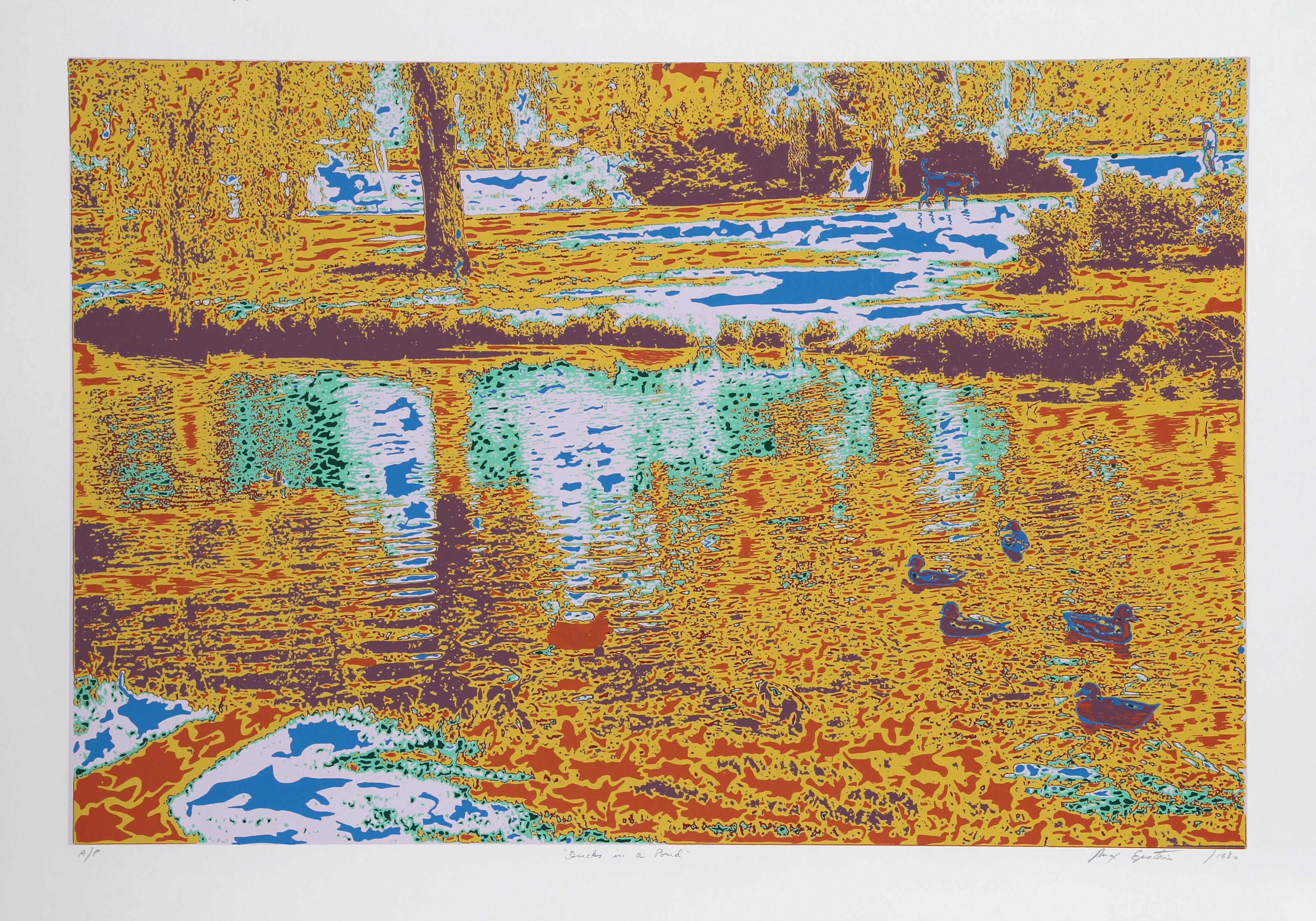 Ducks in a Pond, Psychedelic Screenprint von Max Epstein