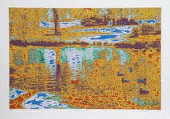 Patos en un estanque, serigrafía psicodélica de Max Epstein