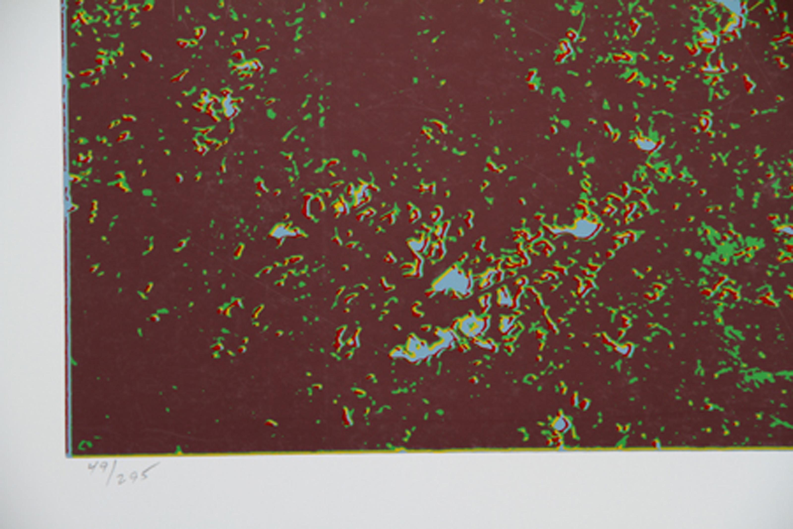 Fishing Hole, Psychedelic Screenprint by Max Epstein For Sale 1