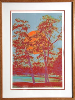 Grande sérigraphie psychédélique de Max Epstein