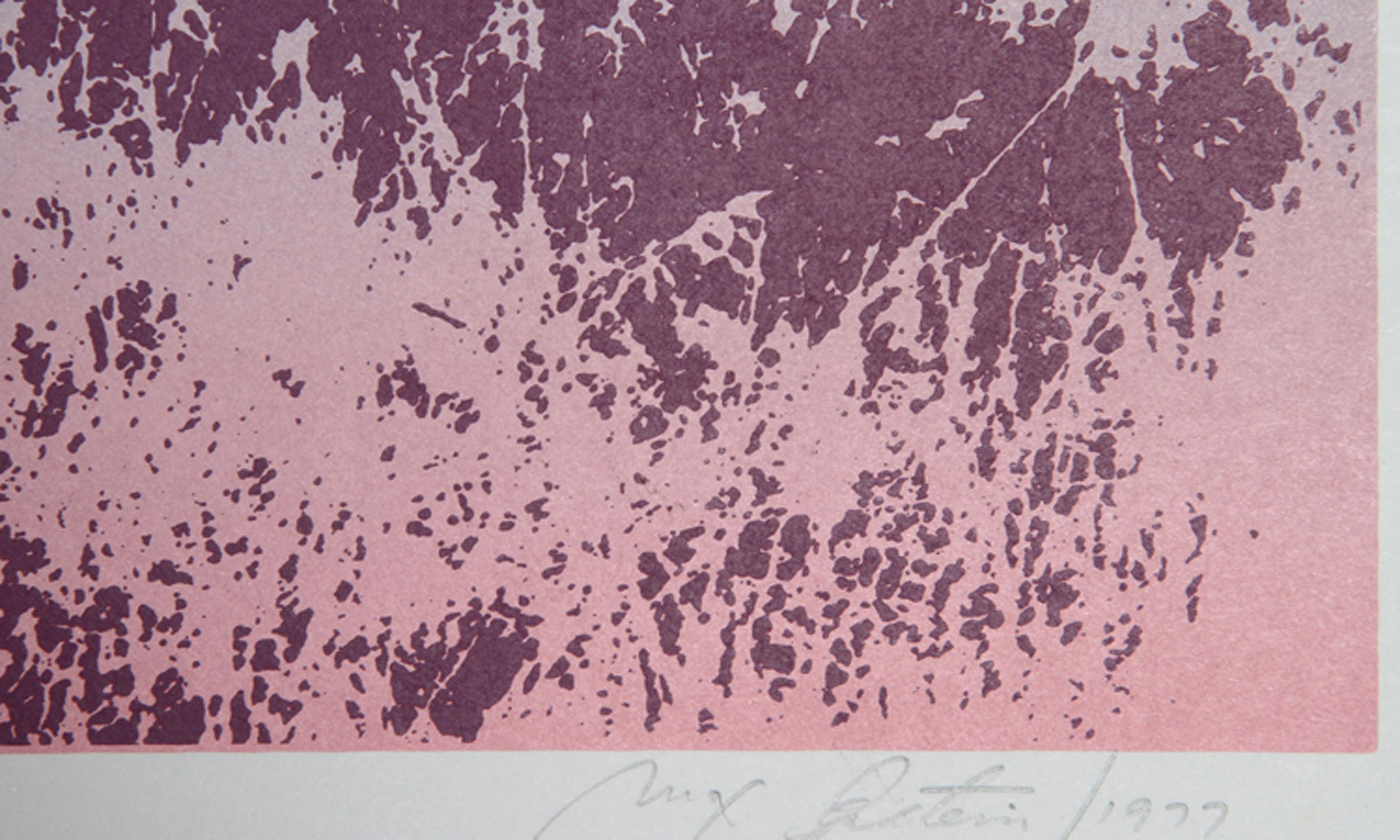Misty, Psychedelic Screenprint by Max Epstein For Sale 2