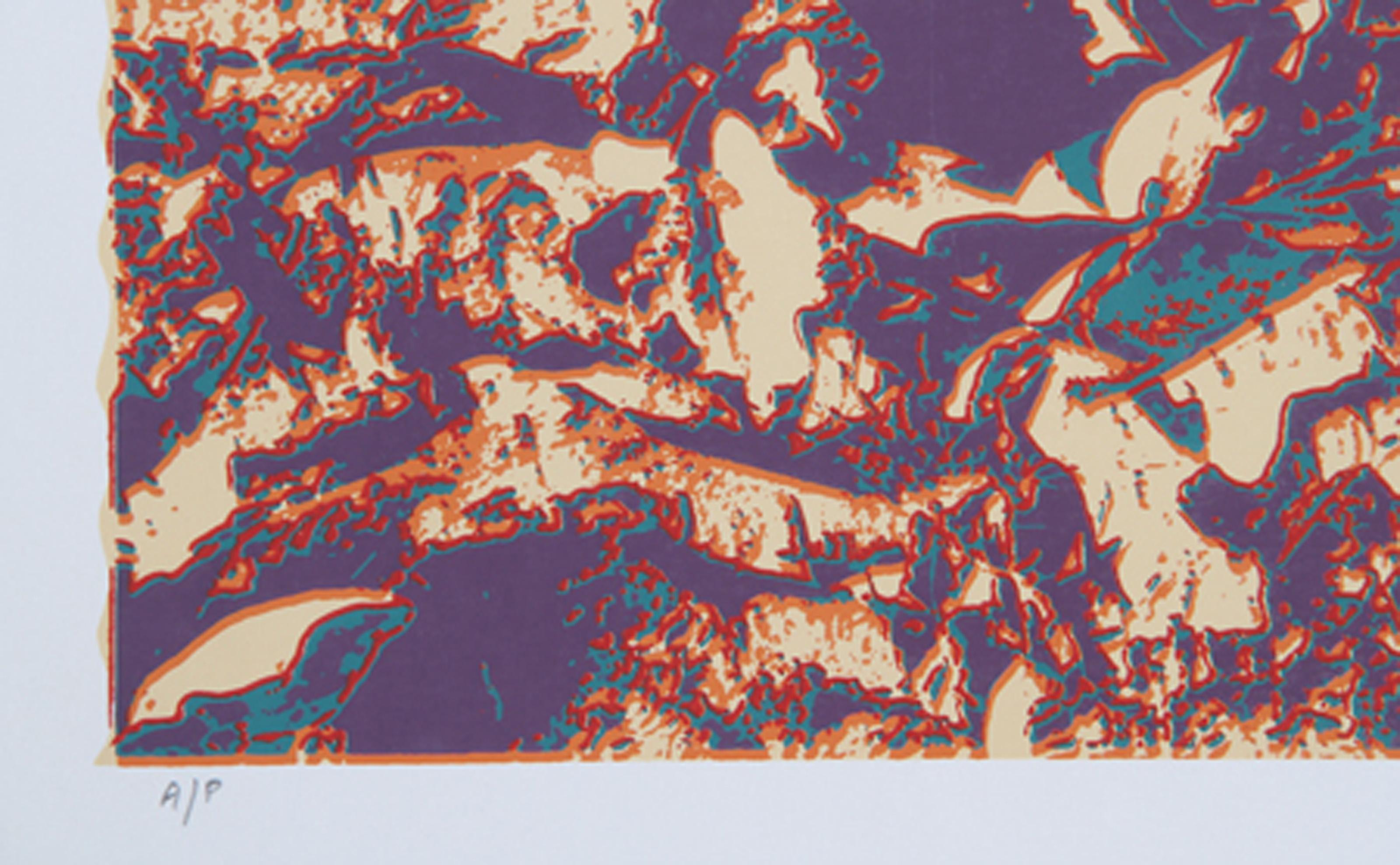 Roots, Psychedelic Screenprint by Max Epstein For Sale 1