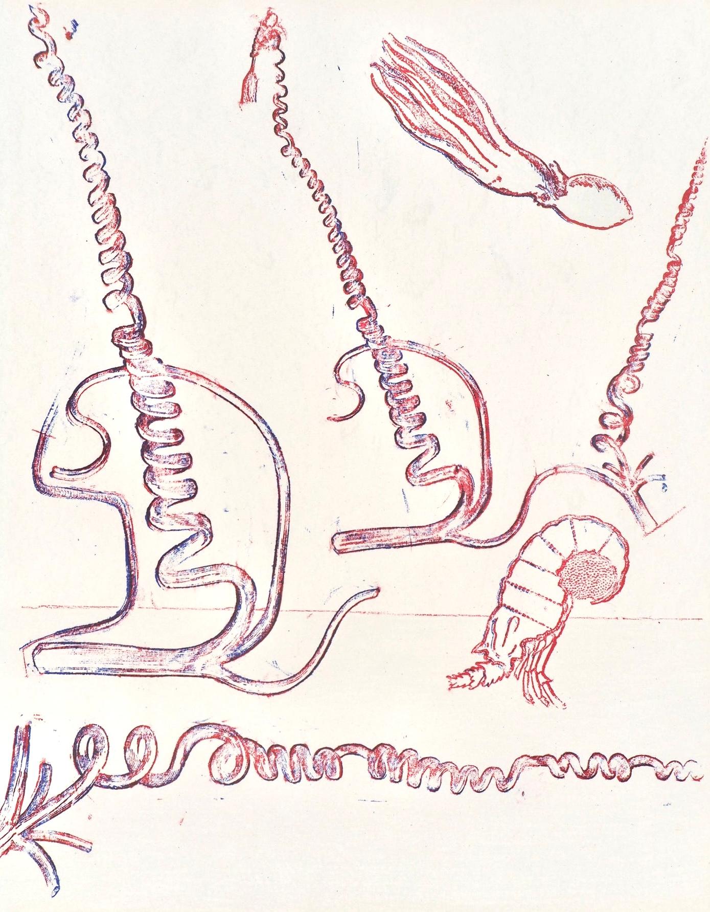 Abstract Print de Max Ernst - Composición (Spies/Leppien 252), Société internationale d'art XXe siècle