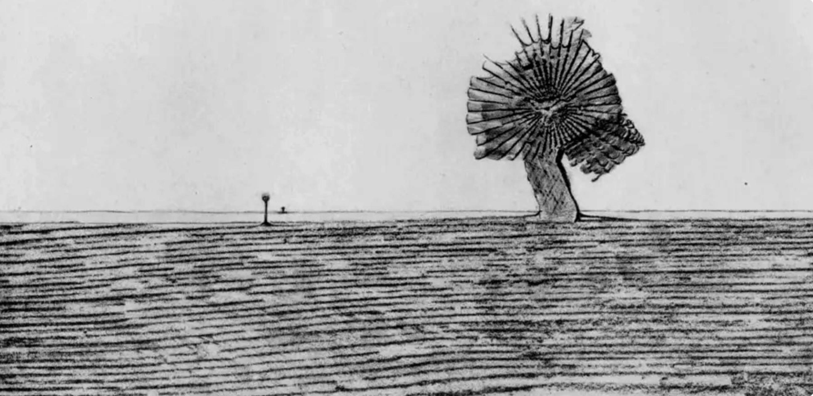 Ernst, Composition (Spies/Leppien 222), Histoire Naturelle (after) - Print by Max Ernst