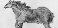 Max Ernst, To Forget Everything, from Natural History, 1972 (after)