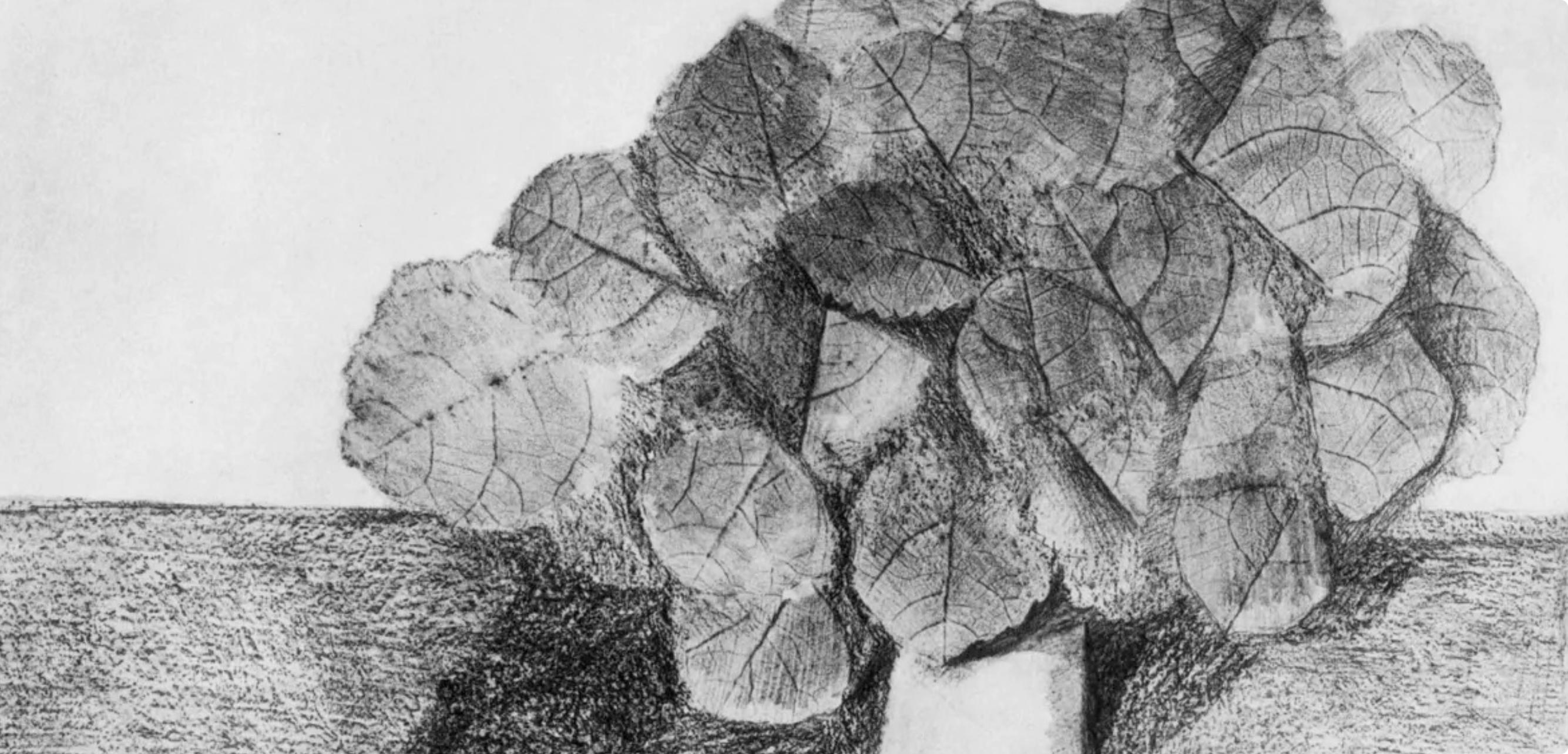 Ernst, Composition (Spies/Leppien 222), Histoire Naturelle (after) - Print by Max Ernst